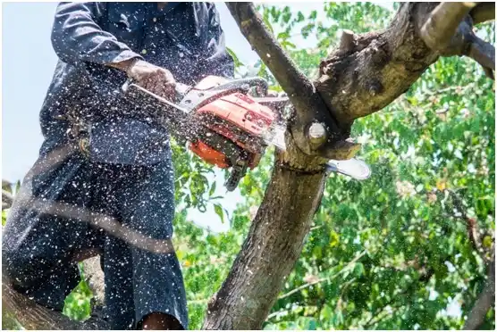 tree services Christiana